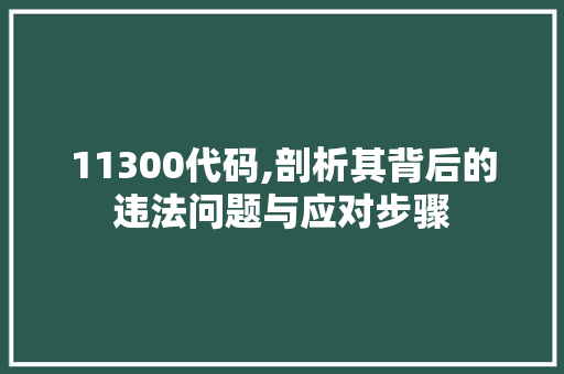 11300代码,剖析其背后的违法问题与应对步骤