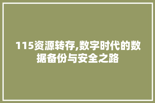 115资源转存,数字时代的数据备份与安全之路