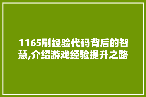 1165刷经验代码背后的智慧,介绍游戏经验提升之路