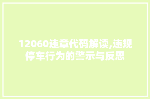 12060违章代码解读,违规停车行为的警示与反思