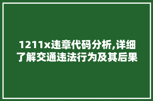 1211x违章代码分析,详细了解交通违法行为及其后果