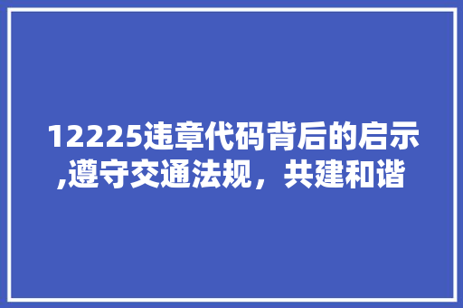 12225违章代码背后的启示,遵守交通法规，共建和谐交通环境