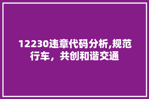 12230违章代码分析,规范行车，共创和谐交通