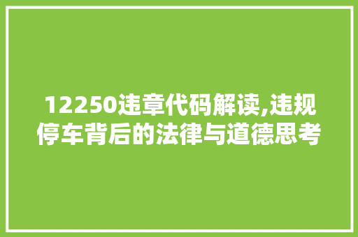 12250违章代码解读,违规停车背后的法律与道德思考