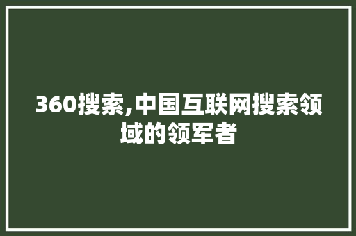 360搜索,中国互联网搜索领域的领军者