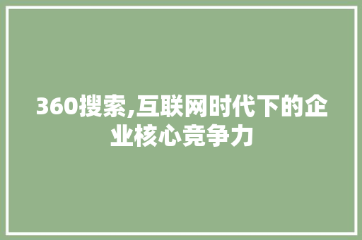 360搜索,互联网时代下的企业核心竞争力