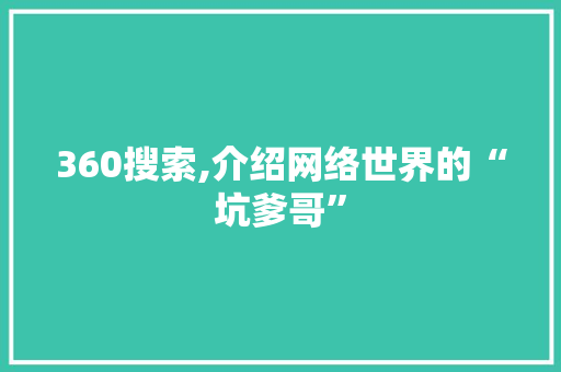 360搜索,介绍网络世界的“坑爹哥”