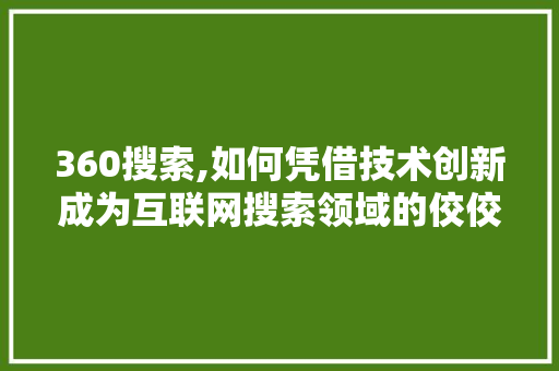 360搜索,如何凭借技术创新成为互联网搜索领域的佼佼者