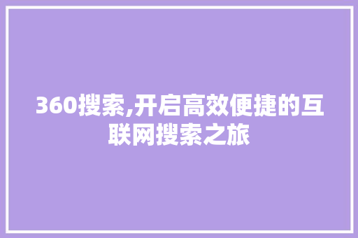 360搜索,开启高效便捷的互联网搜索之旅