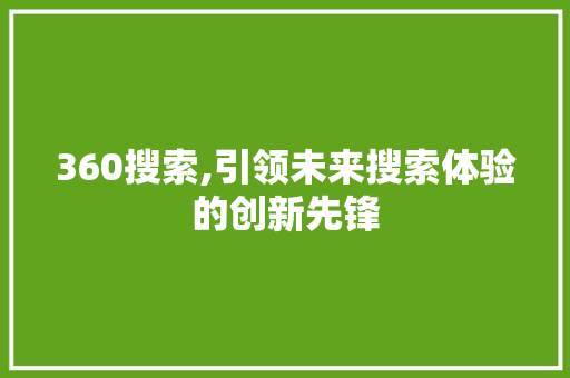 360搜索,引领未来搜索体验的创新先锋