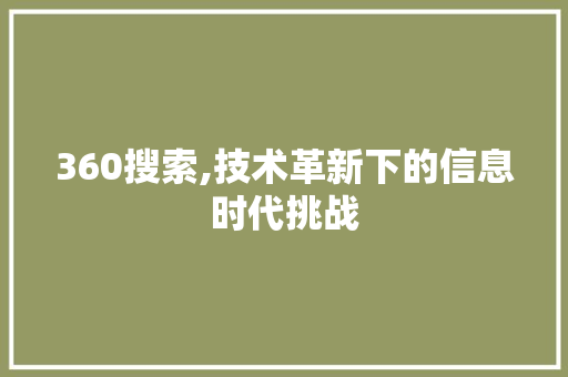 360搜索,技术革新下的信息时代挑战