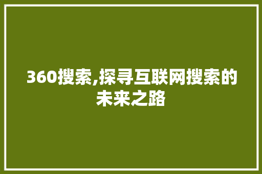 360搜索,探寻互联网搜索的未来之路