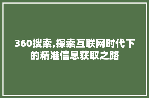 360搜索,探索互联网时代下的精准信息获取之路