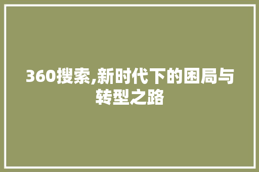 360搜索,新时代下的困局与转型之路