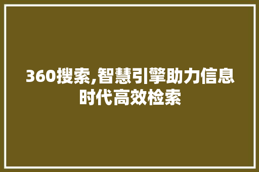 360搜索,智慧引擎助力信息时代高效检索