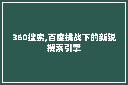 360搜索,百度挑战下的新锐搜索引擎