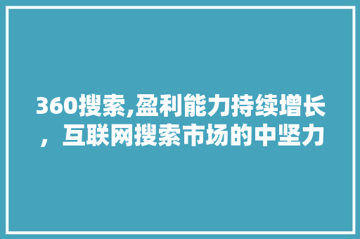 360搜索,盈利能力持续增长，互联网搜索市场的中坚力量