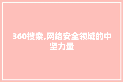 360搜索,网络安全领域的中坚力量