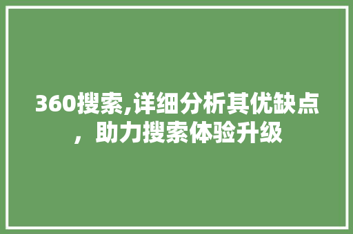 360搜索,详细分析其优缺点，助力搜索体验升级 Java