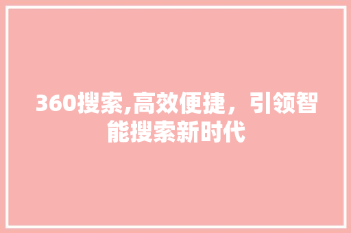 360搜索,高效便捷，引领智能搜索新时代