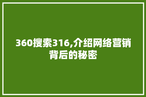 360搜索316,介绍网络营销背后的秘密