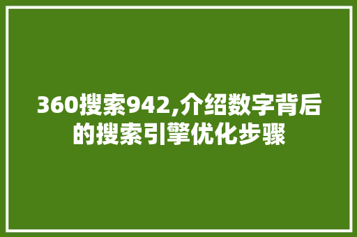 360搜索942,介绍数字背后的搜索引擎优化步骤