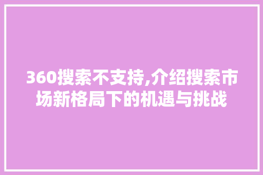 360搜索不支持,介绍搜索市场新格局下的机遇与挑战