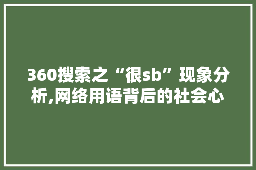 360搜索之“很sb”现象分析,网络用语背后的社会心理