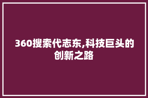 360搜索代志东,科技巨头的创新之路