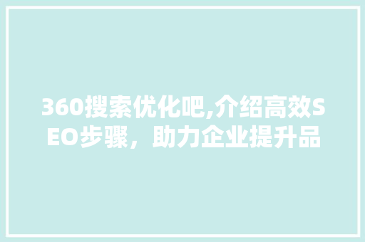 360搜索优化吧,介绍高效SEO步骤，助力企业提升品牌影响力