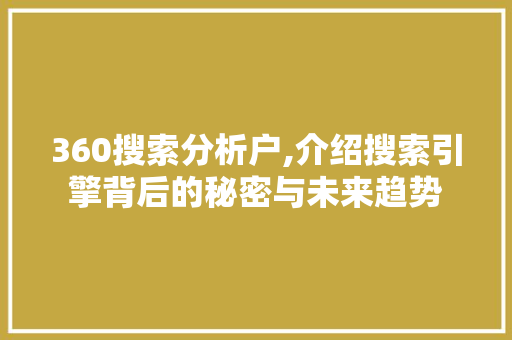 360搜索分析户,介绍搜索引擎背后的秘密与未来趋势