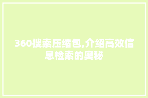 360搜索压缩包,介绍高效信息检索的奥秘 AJAX