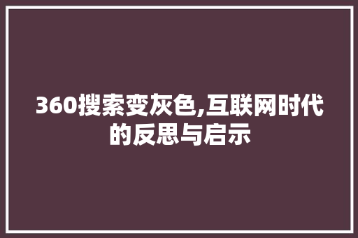 360搜索变灰色,互联网时代的反思与启示