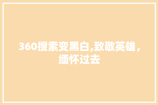 360搜索变黑白,致敬英雄，缅怀过去