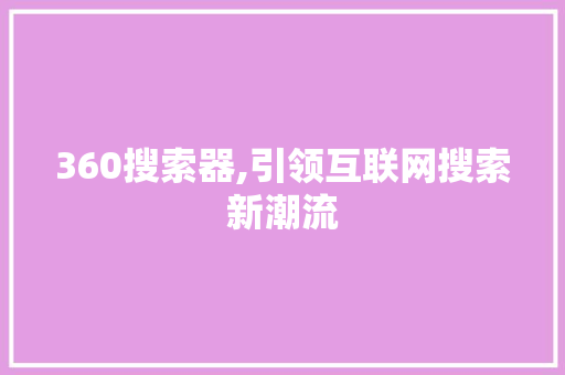 360搜索器,引领互联网搜索新潮流