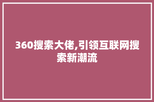 360搜索大佬,引领互联网搜索新潮流