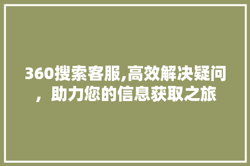 360搜索客服,高效解决疑问，助力您的信息获取之旅