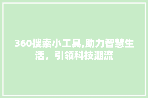 360搜索小工具,助力智慧生活，引领科技潮流