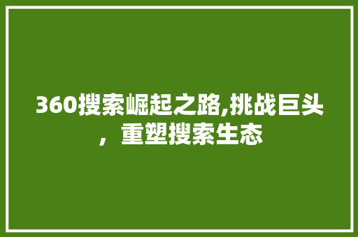 360搜索崛起之路,挑战巨头，重塑搜索生态