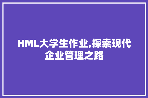 HML大学生作业,探索现代企业管理之路