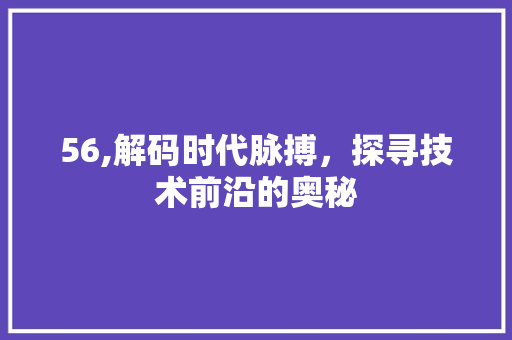 56,解码时代脉搏，探寻技术前沿的奥秘