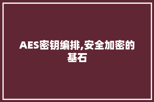 AES密钥编排,安全加密的基石