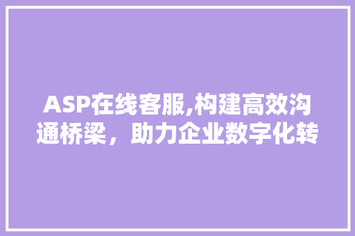 ASP在线客服,构建高效沟通桥梁，助力企业数字化转型