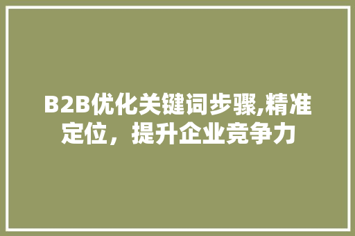 B2B优化关键词步骤,精准定位，提升企业竞争力