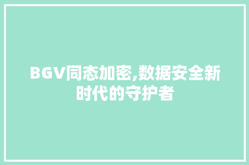 BGV同态加密,数据安全新时代的守护者