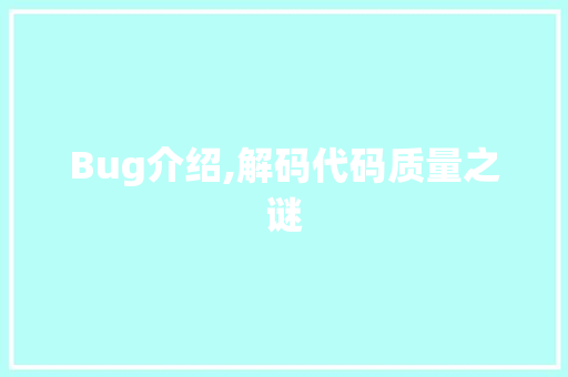 Bug介绍,解码代码质量之谜