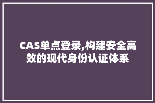 CAS单点登录,构建安全高效的现代身份认证体系