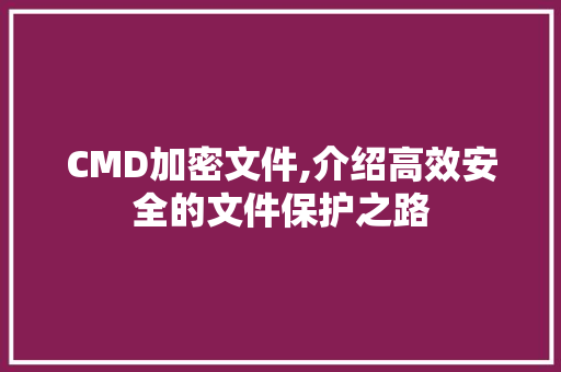 CMD加密文件,介绍高效安全的文件保护之路