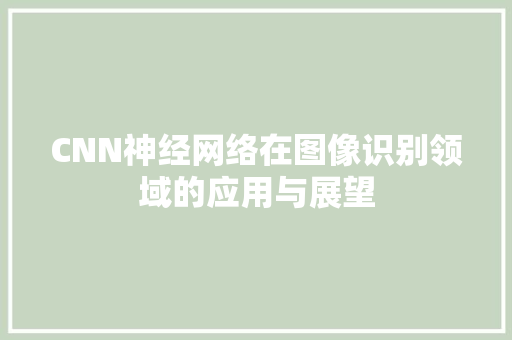 CNN神经网络在图像识别领域的应用与展望