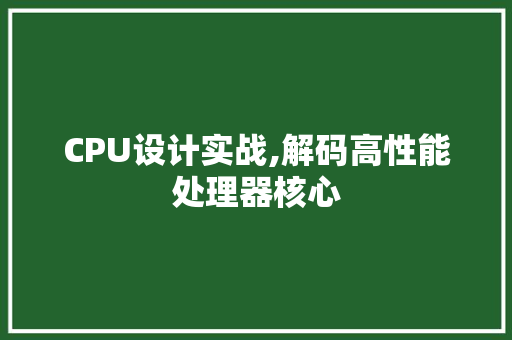 CPU设计实战,解码高性能处理器核心